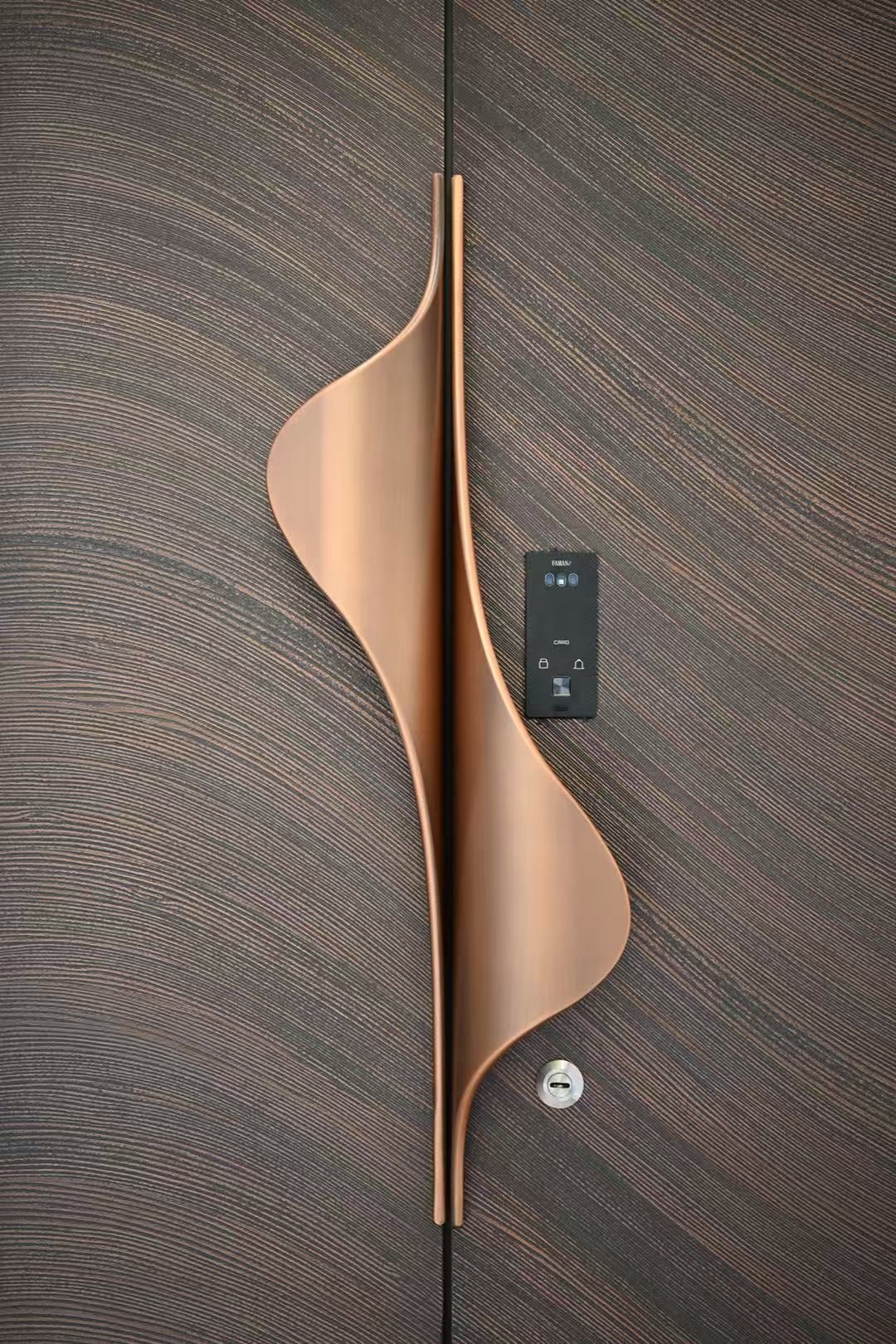 Entrance Door system and material detail