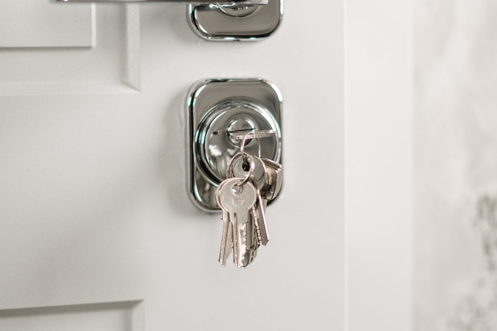 Security Door product direction